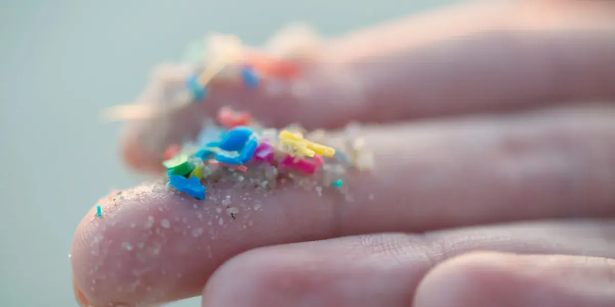 America has a $250 billion problem: Microplastics have invaded our bloodstreams and may increase the risk of heart attack and stroke